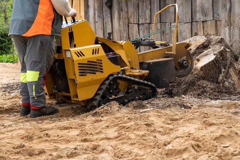 An image of Stump Grinding/Removal Services in Covina CA