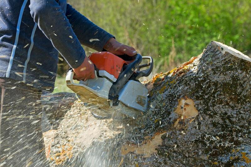 An image of Stump Removal in Covina CA
